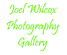 Joel Wilcox Photography Gallery